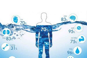 Nước trong cơ thể con người